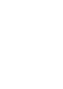 South Florida Booting logo